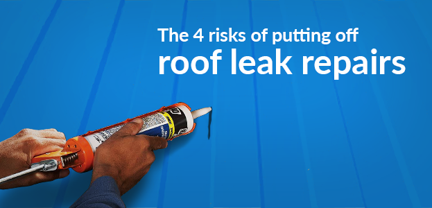 roof leak repairs